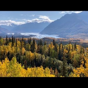 Meet your Posher, Holly